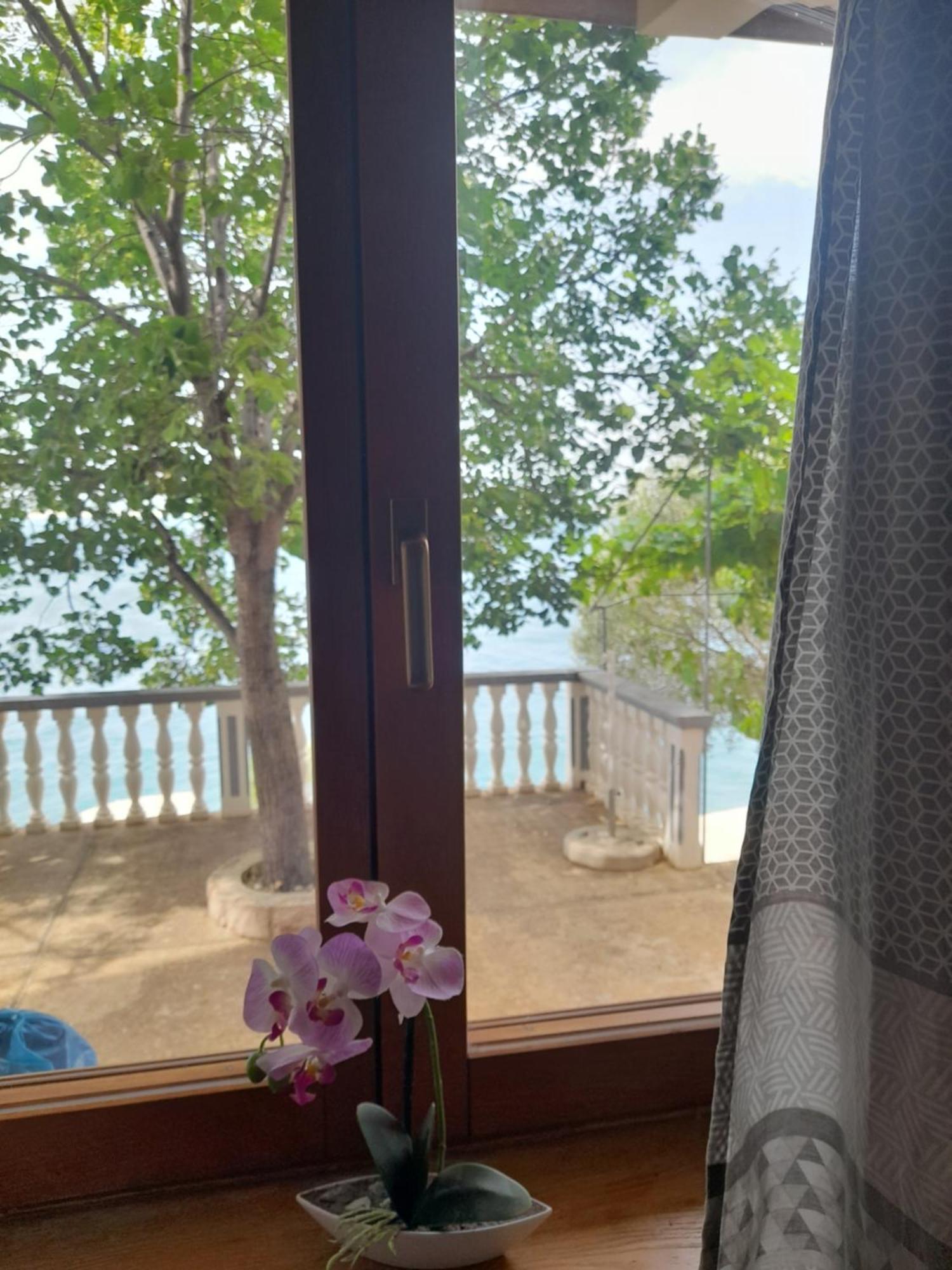 Apartmani Antea สตารีกราด-ปาเคลนีซา ห้อง รูปภาพ